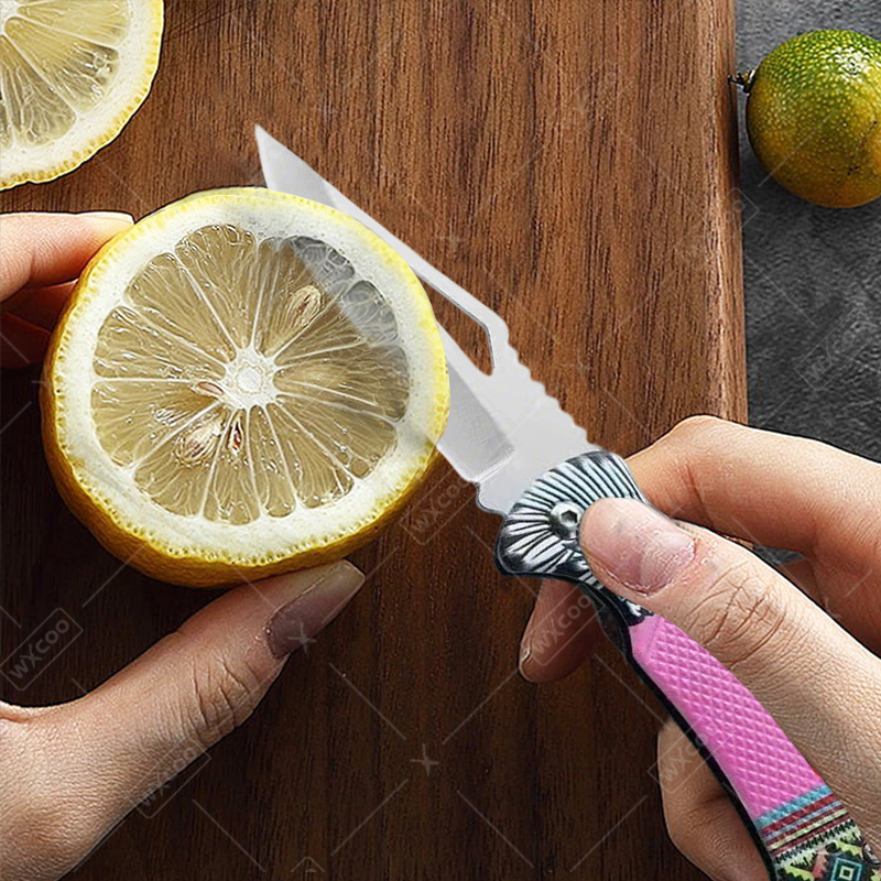 WXCOO Folding Knife Stainless  - مراجعة Kitchen Gadgets Pakistan وسعره