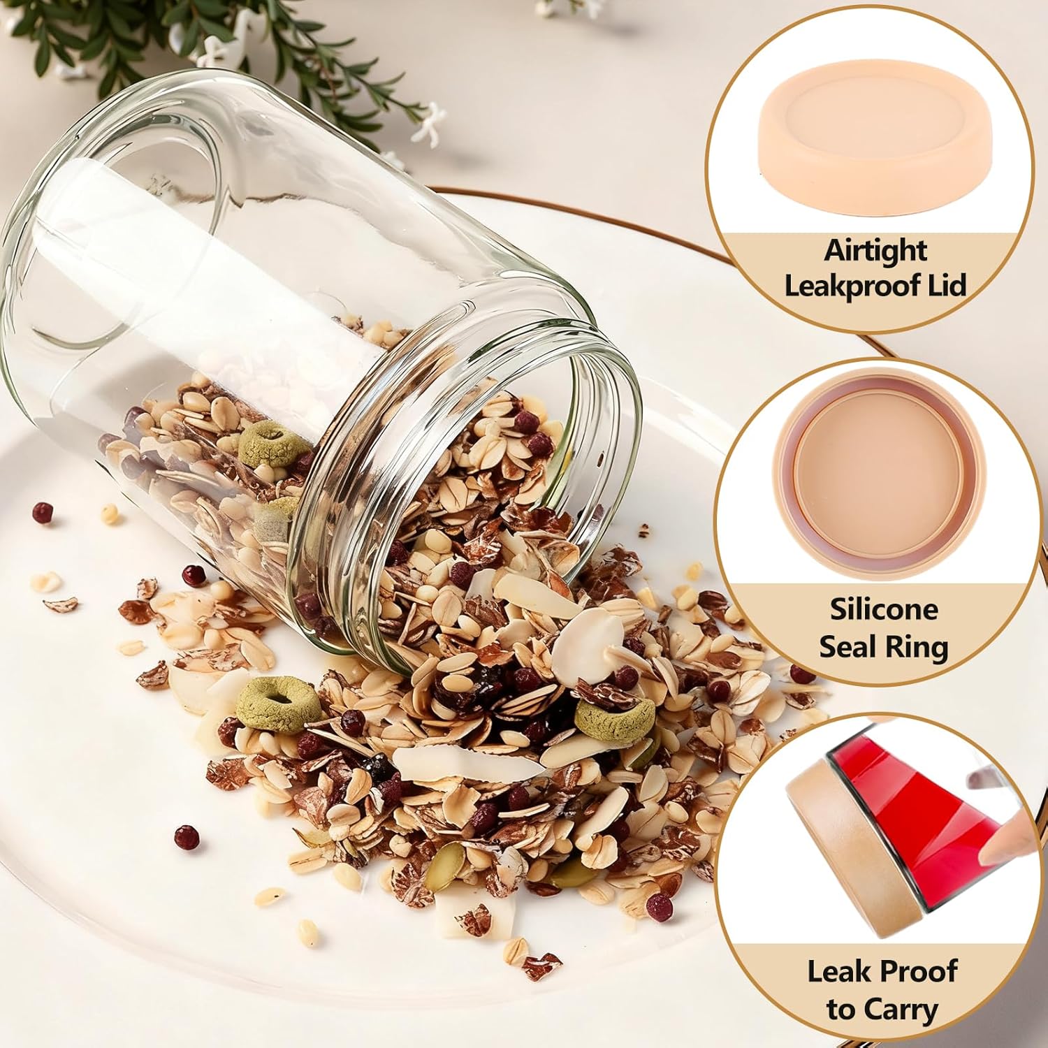 12 Pack Overnight Oats Contain - مراجعة Food Storage Containers وسعره