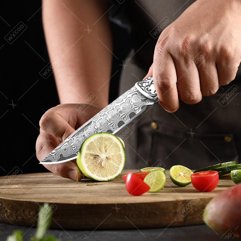 WXCOO Damascus Steel Folding P - مراجعة Kitchen Gadgets Gift وسعره